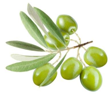 Olive Leaf — Листья Оливы - 8